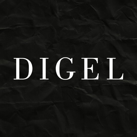 Logo - Digel