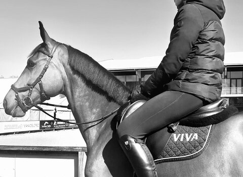 Viva Paardensport